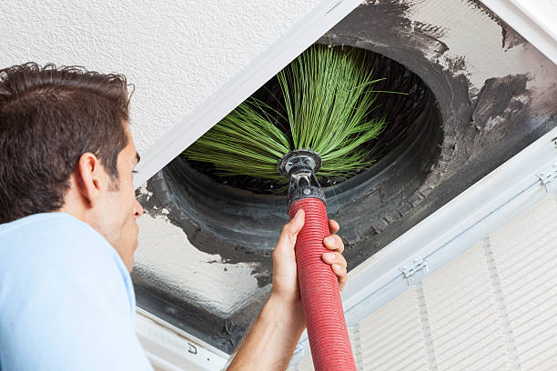Best Professional Duct Cleaning Services  in Lake Clarke Shores, FL